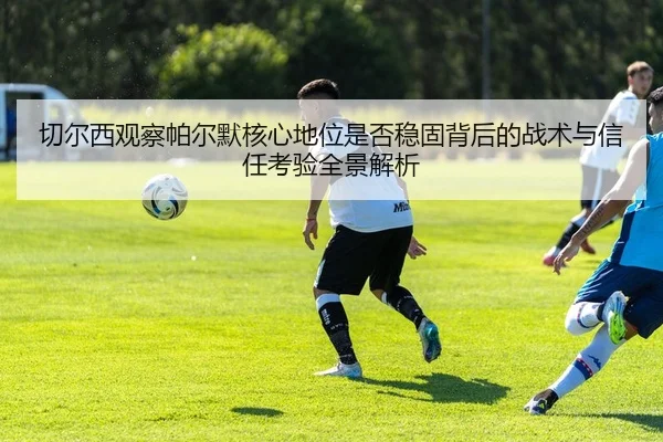 img_1781534822455_237_1_336.jpg