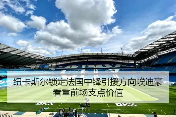 纽卡斯尔锁定法国中锋引援方向埃迪豪看重前场支点价值